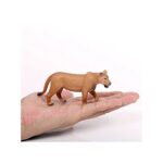 20250315_171406_1573809522