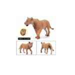 20250315_171513_829994619