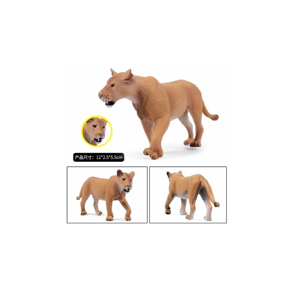 20250315_171513_829994619