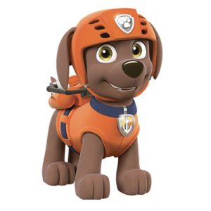 شخصیت های سگ های نگهبان Paw Patrol
