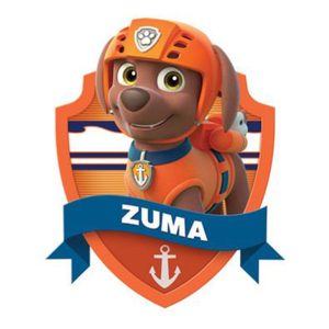 شخصیت های سگ های نگهبان Paw Patrol