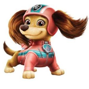 شخصیت های سگ های نگهبان Paw Patrol