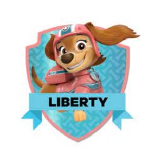 شخصیت های سگ های نگهبان Paw Patrol