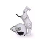 20250821_182254_1530904129